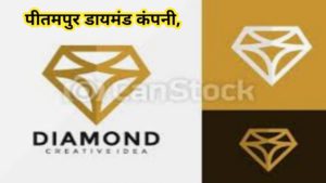 Diamond Company Pitampur. डायमंड कंपनी पीतमपुर।
