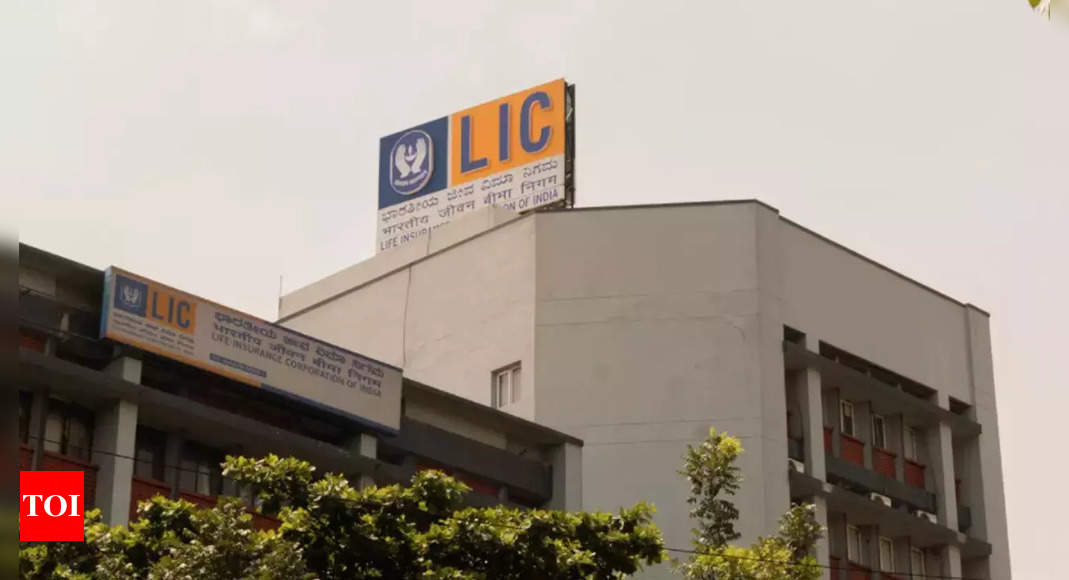 lic: LIC's embedded value set at over $66.8 billion, govt official says