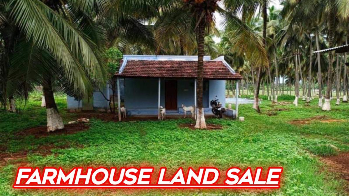 Farmhouse Land for sale | 2,50,000/- only