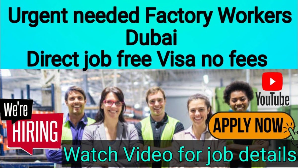 Factory Helper Jobs in Dubai || packing helper jobs in Dubai free visa Dubai jobs today watch video