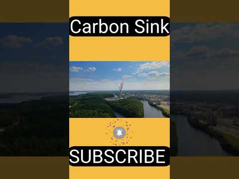 Carbon Sink Explained in hindi #carbonsink #upsc2023 #shorts